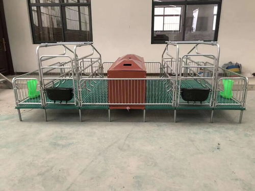 定做母豬產床 豬用復合板單雙體分娩床與保育床兩用定位欄的優勢與應用