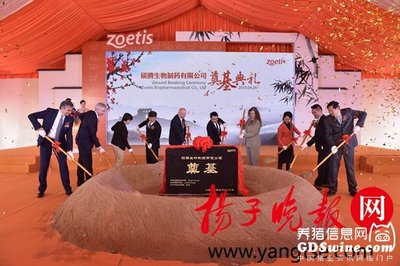 碩騰蘇州新工廠園區奠基 深化本土布局，賦能中國畜牧業高質量發展