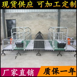 養豬設備升級 從母豬產床到全復合板雙體產床，助力高效養殖