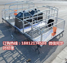 養豬設備專業制造商 定西豬產床批發與雙體豬產床優勢解析